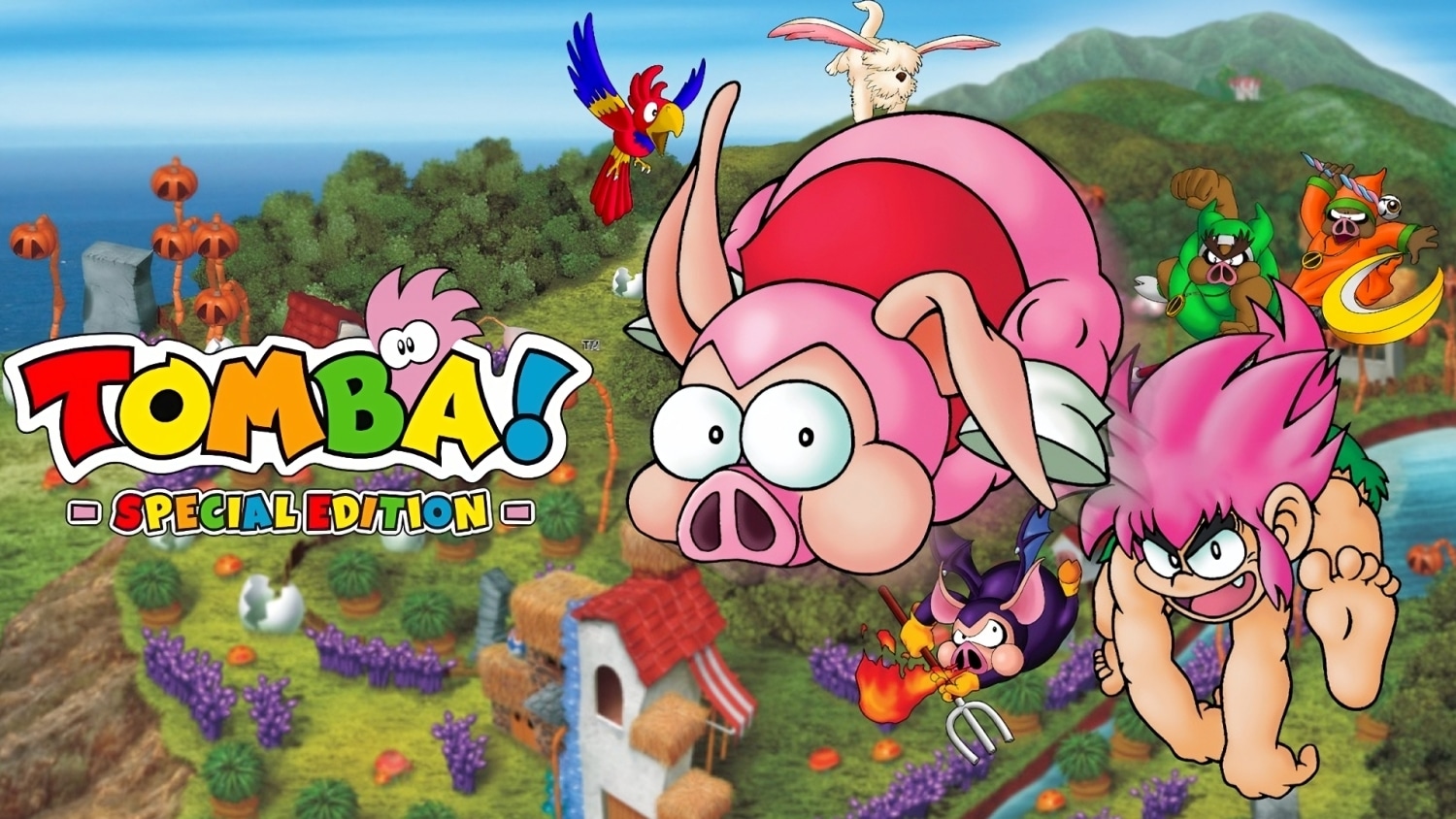 Is Tomba! Special Edition, Worth Playing?